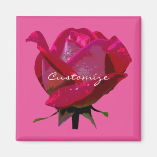 single red rose any color magnet