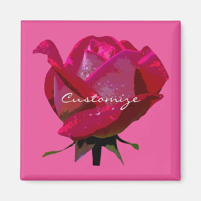 single red rose any color magnet (Front)