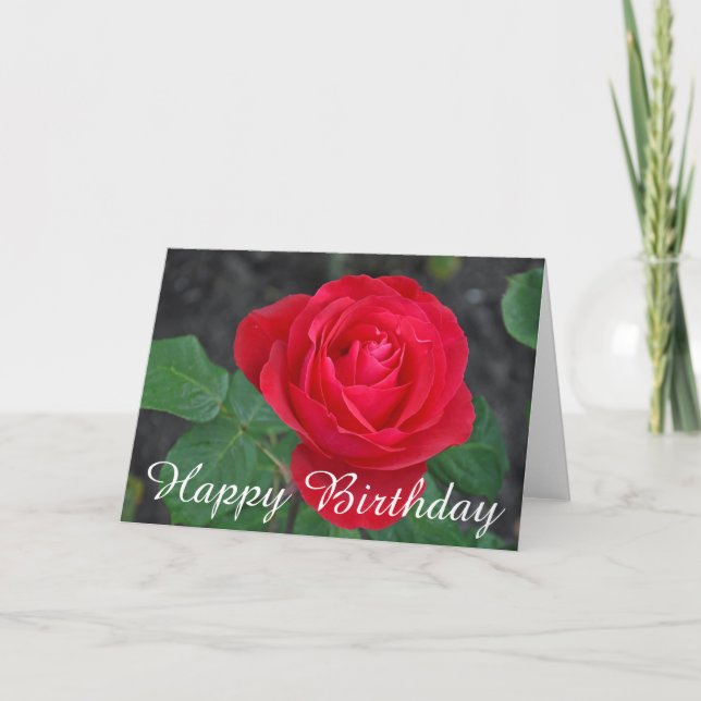 Single red rose birthday card (Front)