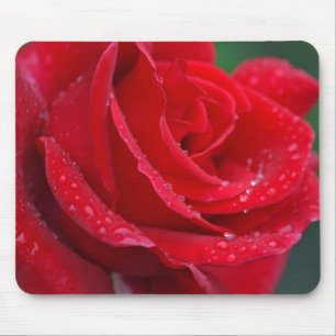 Single red rose blossoms mouse mat