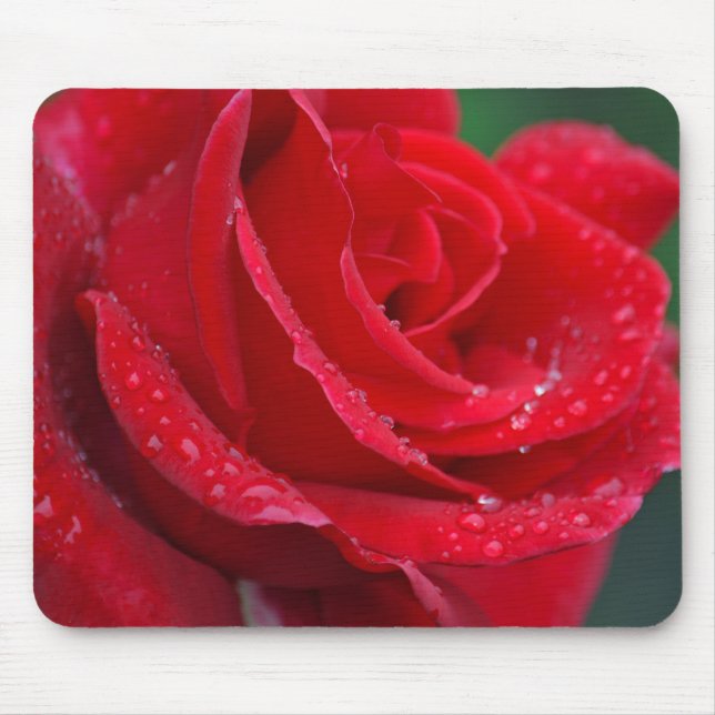 Single red rose blossoms mouse mat (Front)