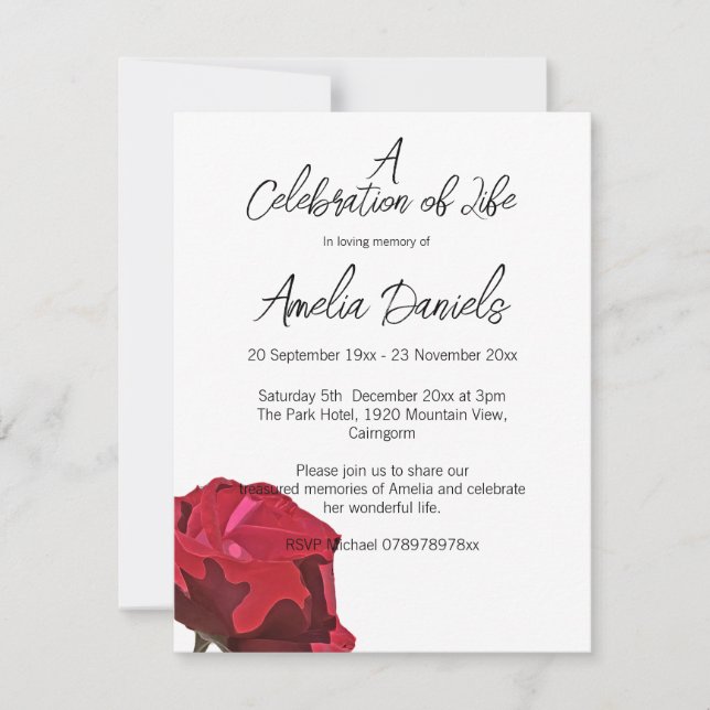 Single Red Rose Celebration of Life  Card (Front)