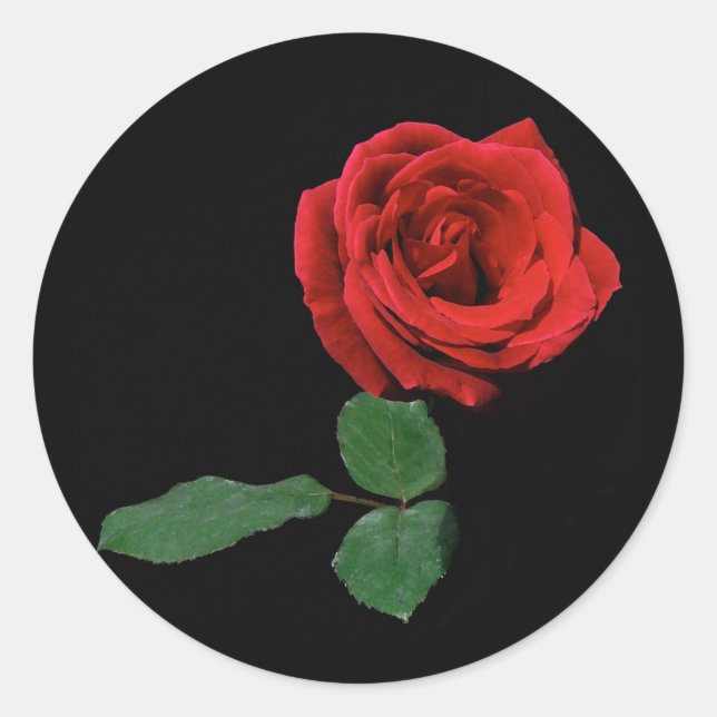 Single Red Rose Classic Round Sticker (Front)