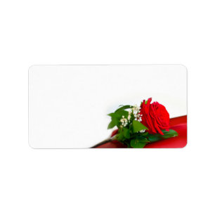 Single Red Rose – Floral White Background Label