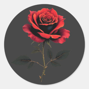 Single Red Rose Flower Lovers Gardening  Classic Round Sticker