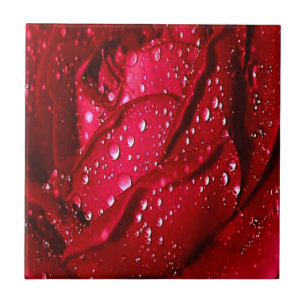 Single Red Rose in the Rain Tile