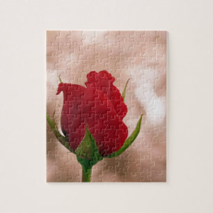 Single Red Rose Jigsaw Puzzle