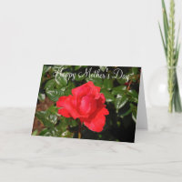 Single red rose Mother's Day greeting card