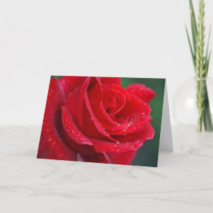 Single red rose print greeting card