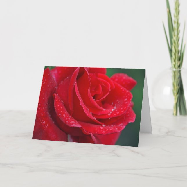 Single red rose print greeting card (Front)
