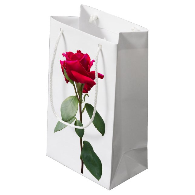Single red rose small gift bag (Back Angled)