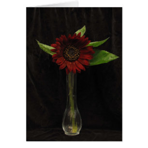 Single Red Sunflower Blank Card