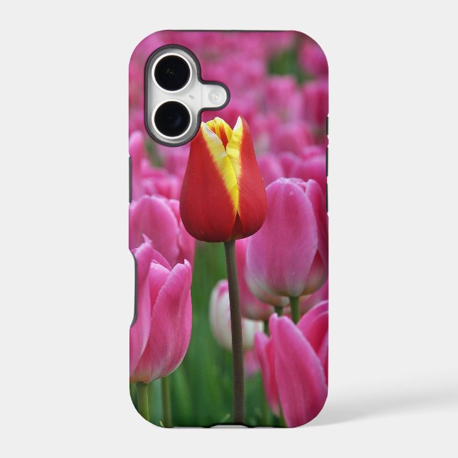 Single red tulip (Back)