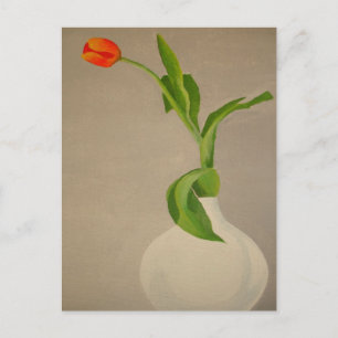 Single Red Tulip In A White Vase Postcard