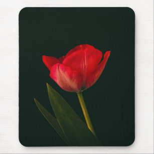 Single Red Tulip Mouse Mat
