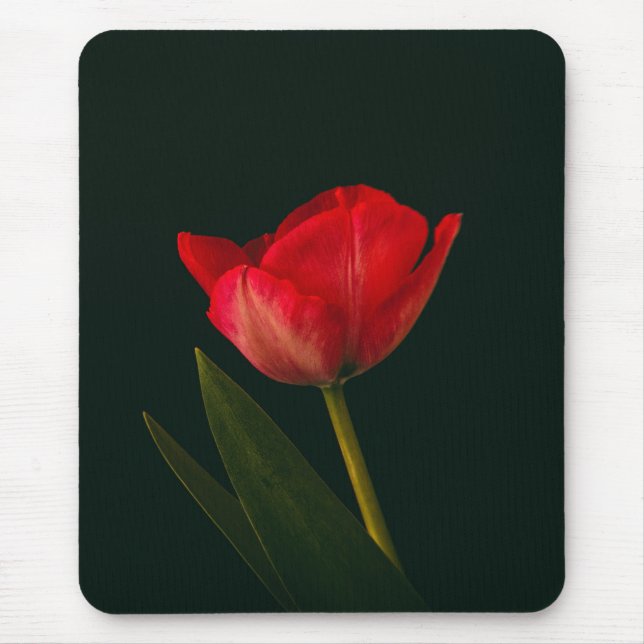 Single Red Tulip Mouse Mat (Front)