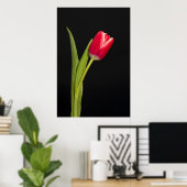 Single red tulip on black background poster (Home Office)