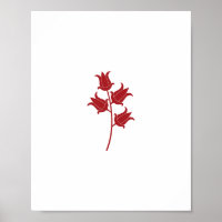 Single Red Tulip