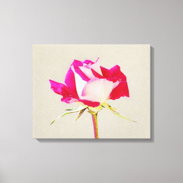 Single Rose Art Photographic Print (Front)