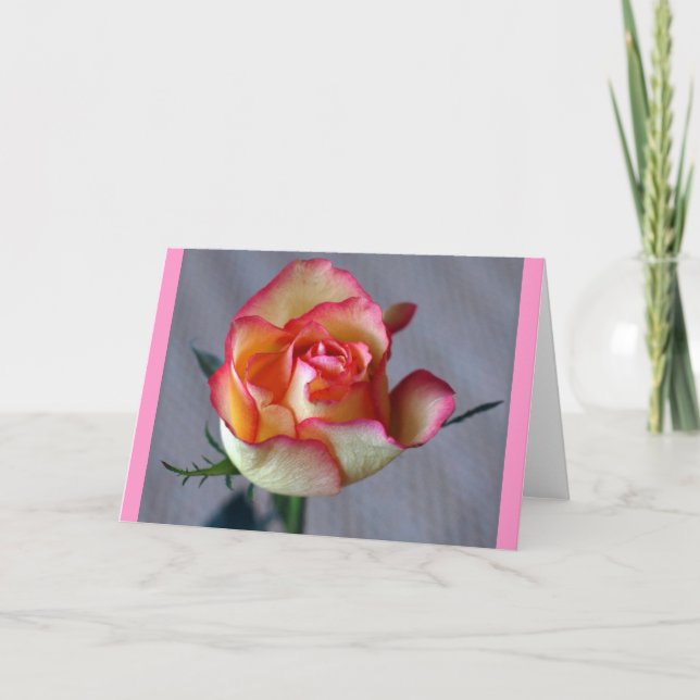 "Single Rose" (Blank) Card (Front)