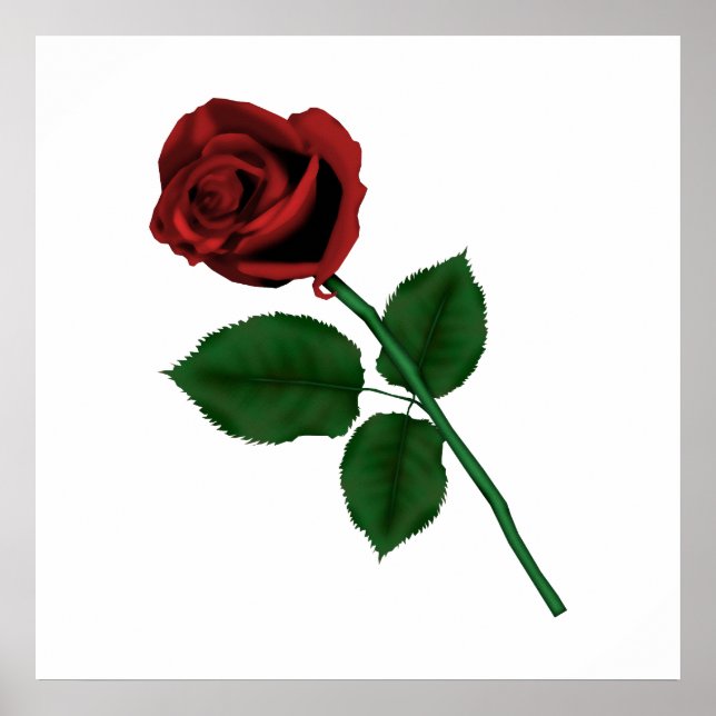 Single Rose Poster (Front)