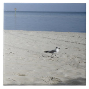 Single Seagull Tile