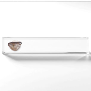 Single seashell nameplate