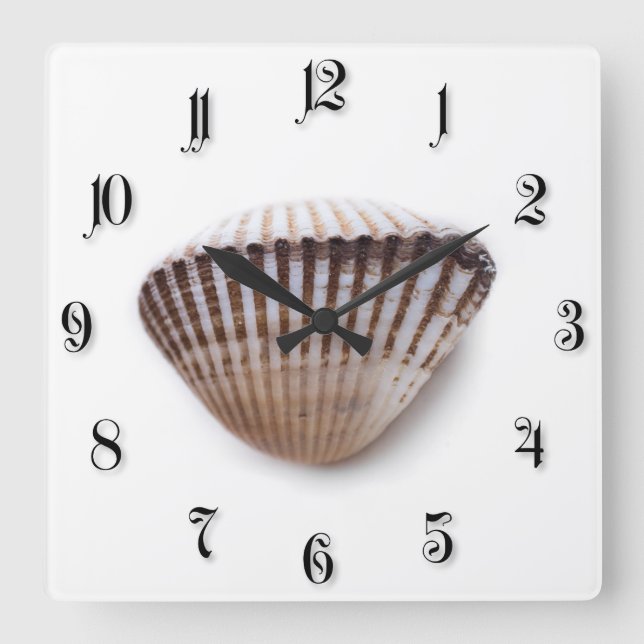 Single seashell square wall clock (Front)