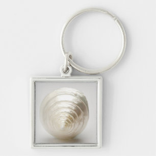 Single spiral seashell key ring