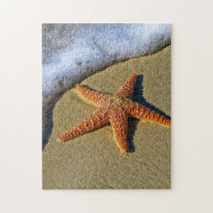 Single Starfish on Beach Jigsaw Puzzle