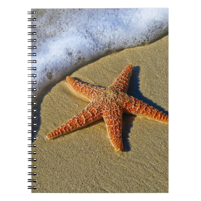 Single Starfish on Beach Notebook (Front)