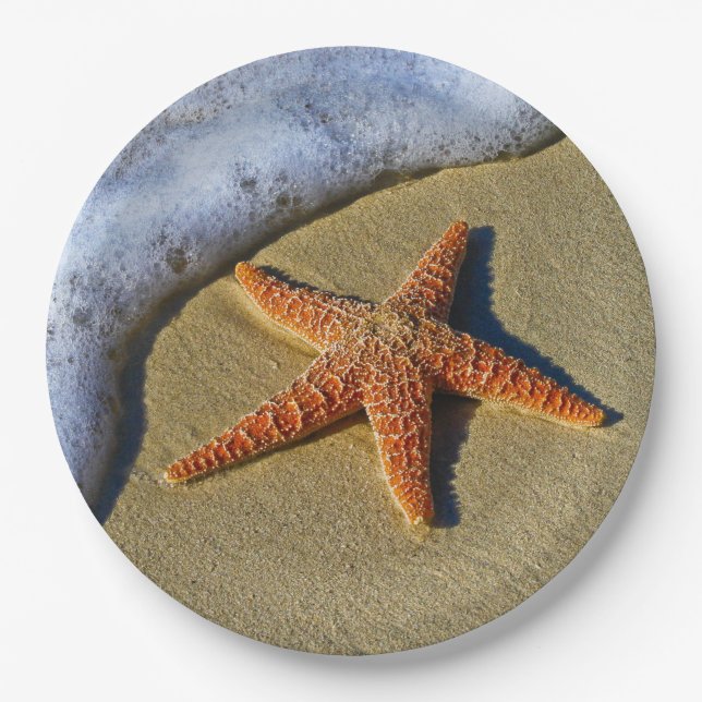 Single Starfish on Beach Paper Plate (Front)