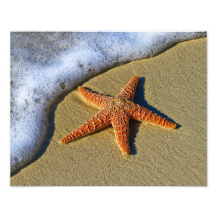 Single Starfish on Beach Photo Print
