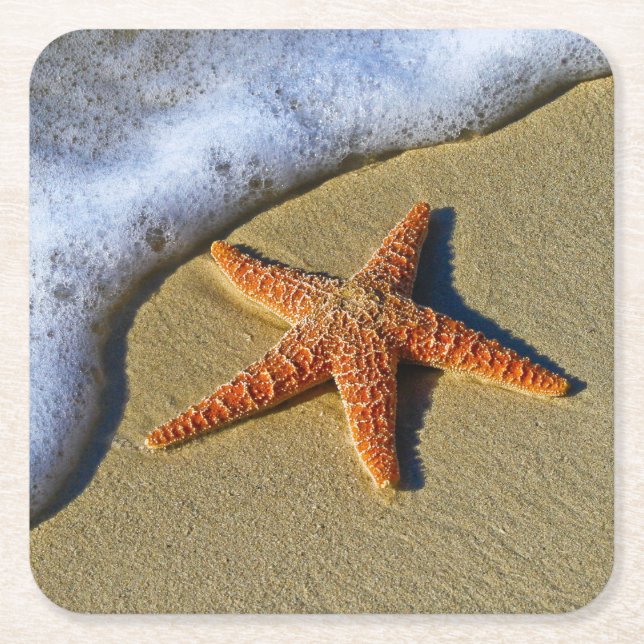 Single Starfish on Beach Square Paper Coaster (Front)