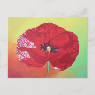 Single Stem Poppy On Red Green And Orange Backgrou Postcard