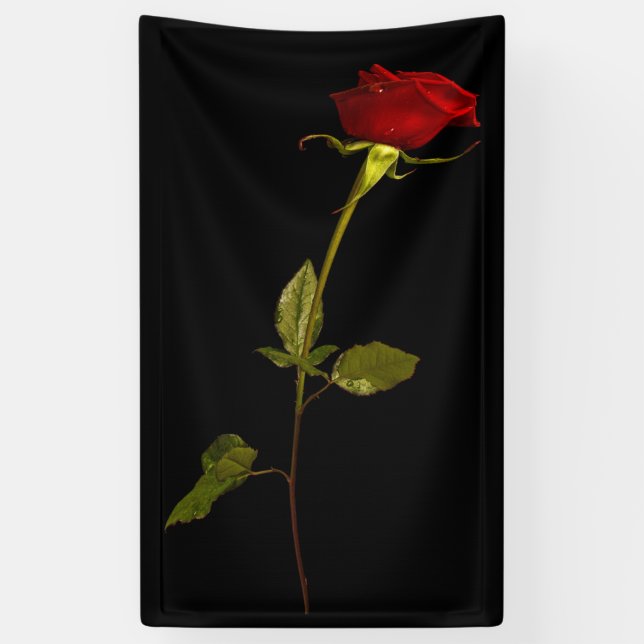 Single Stem Rose Banner (Vertical)