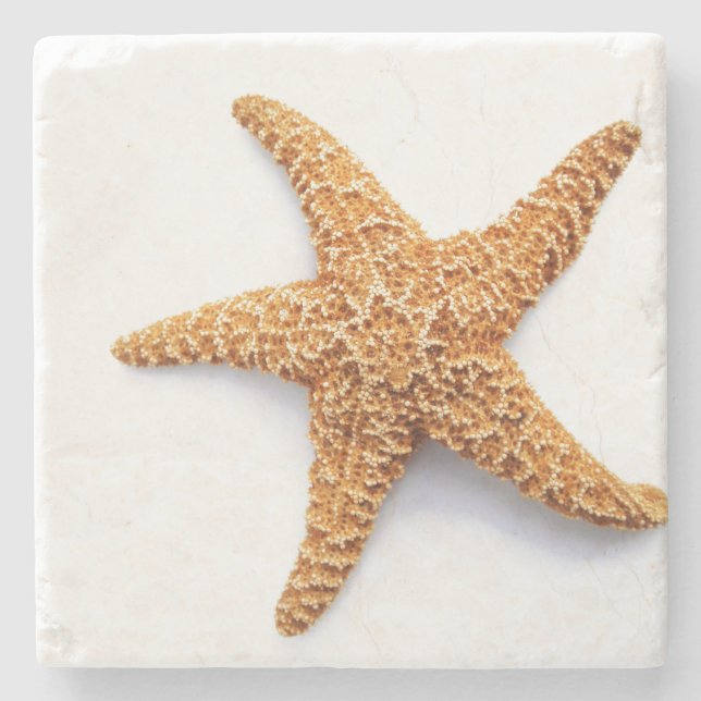 Single Sugar Starfish Stone Coaster (Front)