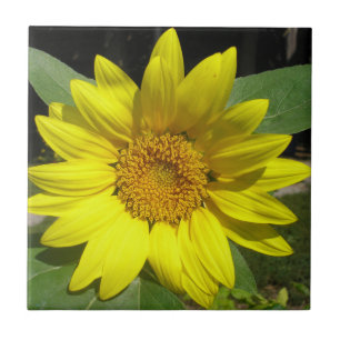 Single Sunflower Tile