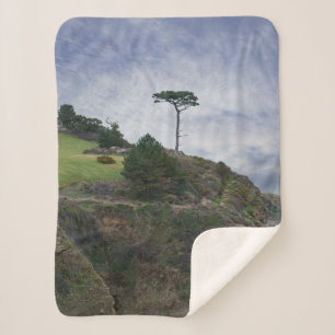 Single Tree At Thatcher Rock Sherpa Blanket