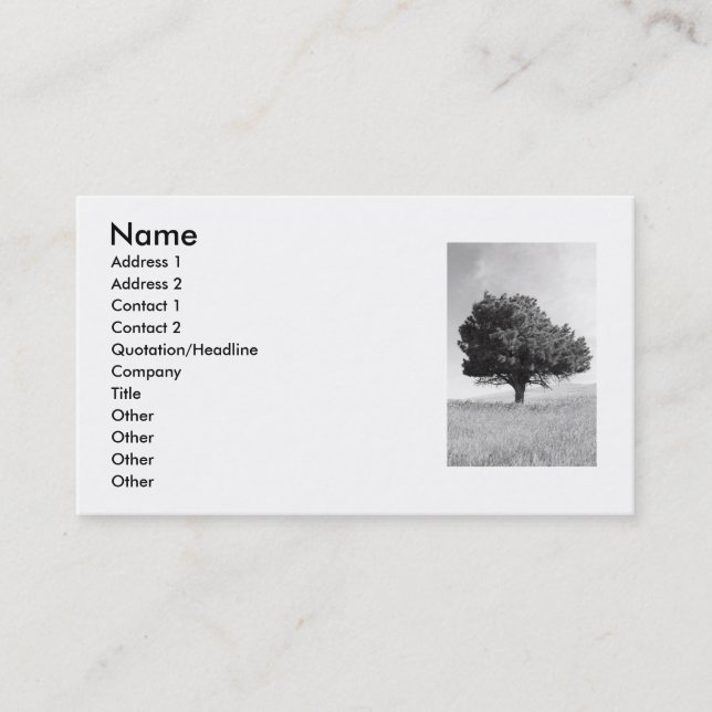 Single Tree Business Card (Front)