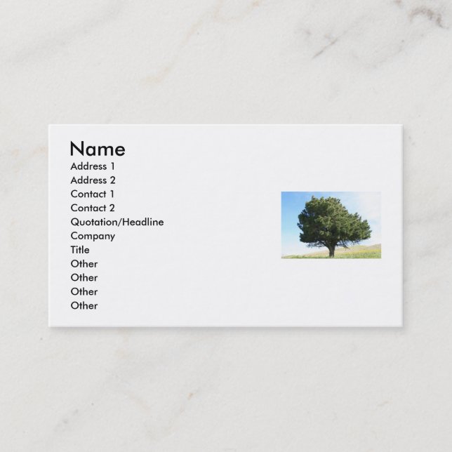 Single Tree Business Card (Front)