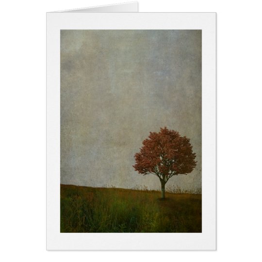 single tree card