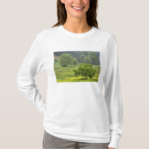 Single tree in agricultural farm field, Tuscany, 2 T-Shirt