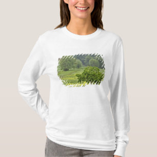 Single tree in agricultural farm field, Tuscany, 2 T-Shirt