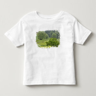 Single tree in agricultural farm field, Tuscany, 2 Toddler T-Shirt