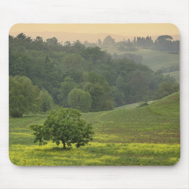 Single tree in agricultural farm field, Tuscany, Mouse Mat (Front)
