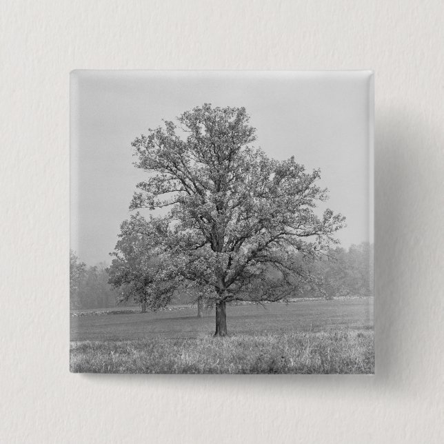 Single tree in field B&W 15 Cm Square Badge (Front)