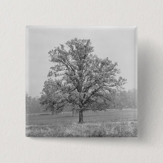 Single tree in field B&W 15 Cm Square Badge