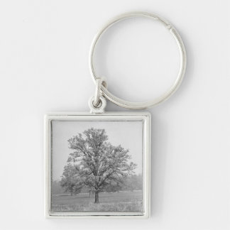 Single tree in field B&W Key Ring