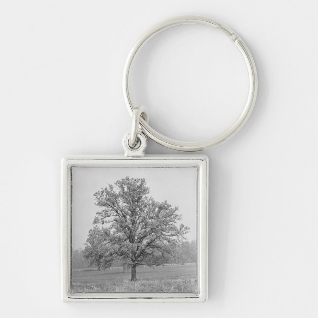 Single tree in field B&W Key Ring (Front)